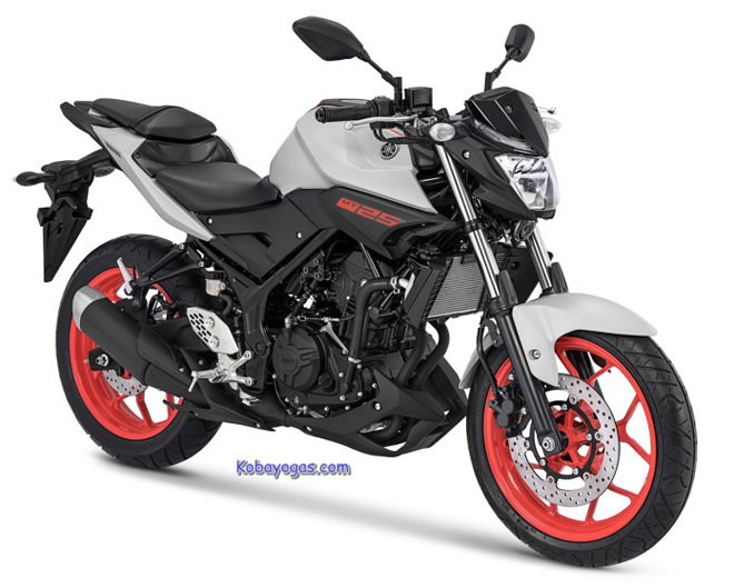 Yamaha MT-25 2018 bổ sung màu mới, giá từ 76 triệu đồng