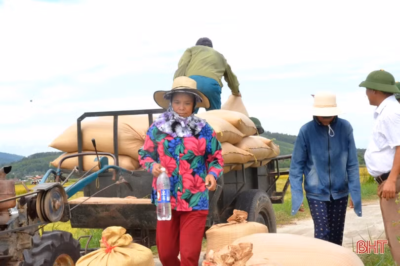“Máy về tận ruộng, thương lái mua thóc tươi, nông dân chúng tôi phấn khởi lắm”
