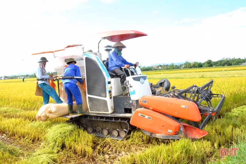 “Máy về tận ruộng, thương lái mua thóc tươi, nông dân chúng tôi phấn khởi lắm”