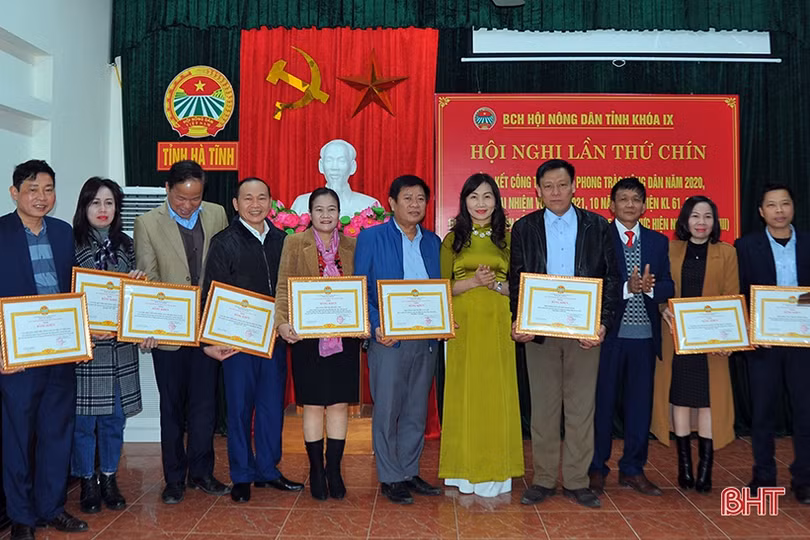 Hội Nông dân Hà Tĩnh nhận bằng khen của Chính phủ