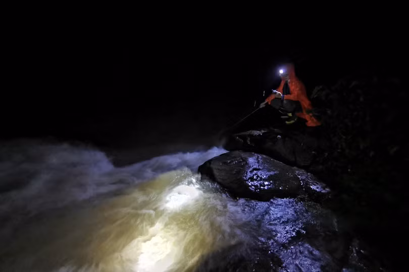 Hiện tượng tôm diễu hành trên cạn