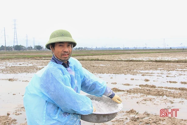 Nông dân Hà Tĩnh vững tin bước vào vụ mới