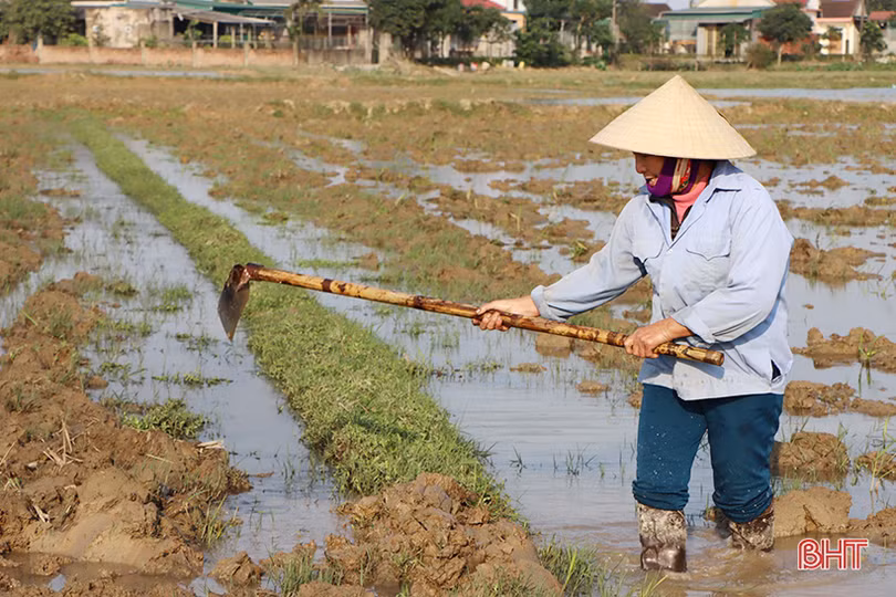 Nắng lên, nông dân Hà Tĩnh tất bật xuống đồng triển khai vụ xuân