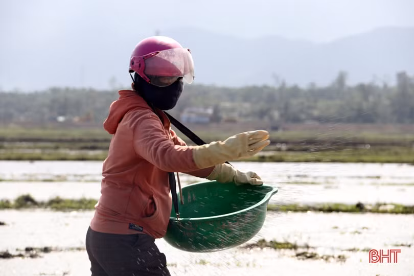 Nắng lên, nông dân Hà Tĩnh tất bật xuống đồng triển khai vụ xuân