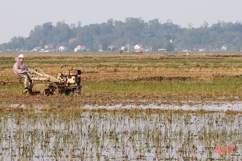 Nắng lên, nông dân Hà Tĩnh tất bật xuống đồng triển khai vụ xuân