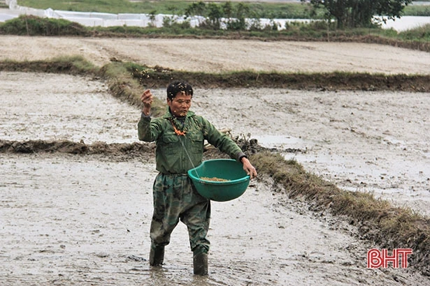 Nông dân Hà Tĩnh vững tin bước vào vụ mới
