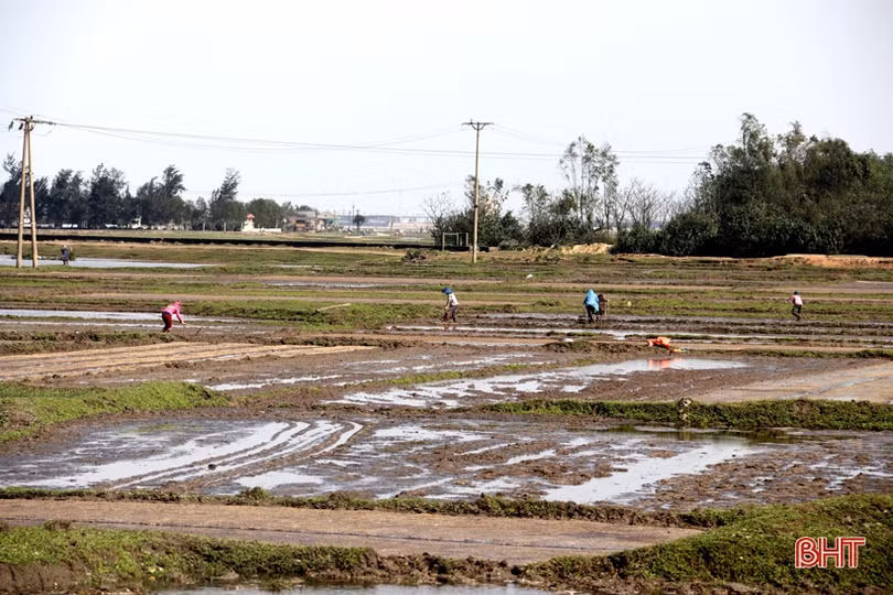 Nắng lên, nông dân Hà Tĩnh tất bật xuống đồng triển khai vụ xuân
