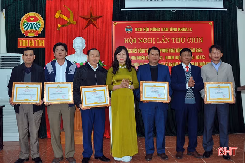 Hội Nông dân Hà Tĩnh nhận bằng khen của Chính phủ