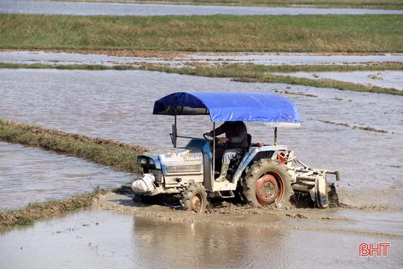 Nắng lên, nông dân Hà Tĩnh tất bật xuống đồng triển khai vụ xuân