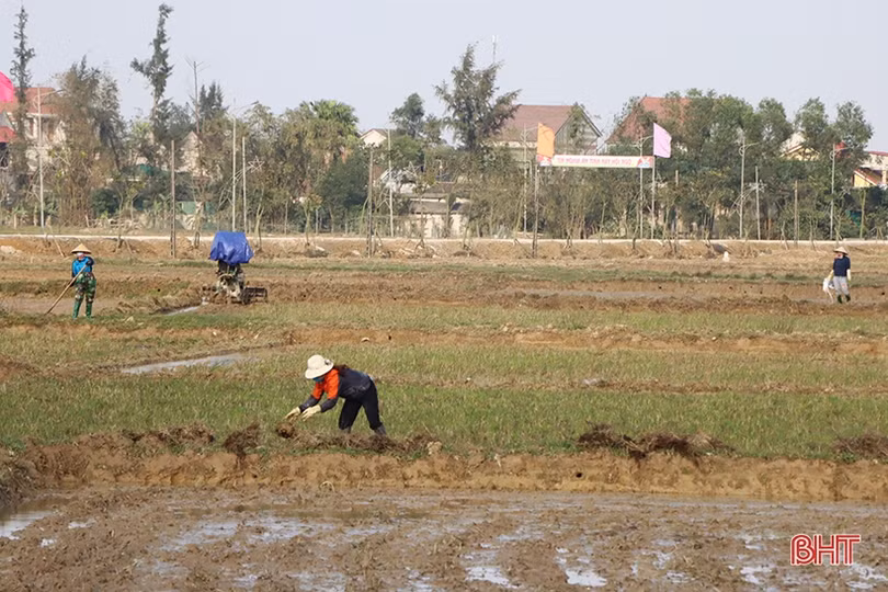 Nắng lên, nông dân Hà Tĩnh tất bật xuống đồng triển khai vụ xuân
