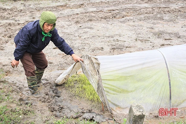 Nông dân Hà Tĩnh vững tin bước vào vụ mới