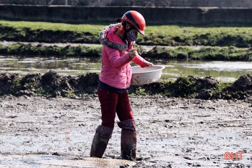 Nắng lên, nông dân Hà Tĩnh tất bật xuống đồng triển khai vụ xuân