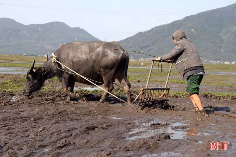 Nắng lên, nông dân Hà Tĩnh tất bật xuống đồng triển khai vụ xuân