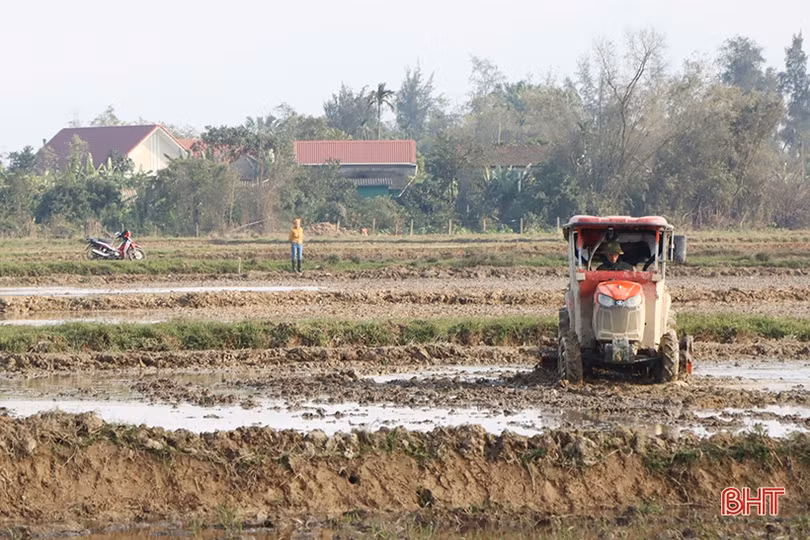 Nắng lên, nông dân Hà Tĩnh tất bật xuống đồng triển khai vụ xuân