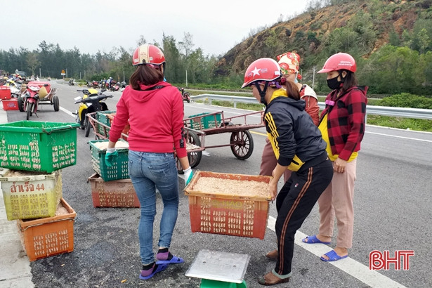 Chợ hải sản tự phát cản trở giao thông trên đường ven biển Hà Tĩnh