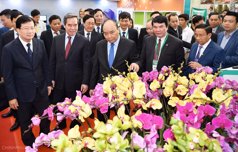 Bí thư Tỉnh ủy Hà Tĩnh dự triển lãm 10 năm Nghị quyết “tam nông”