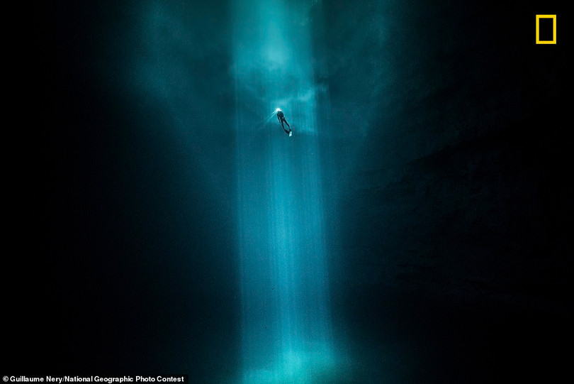 Ngất ngây ảnh đẹp dự thi National Geographic Photo Contest 2018
