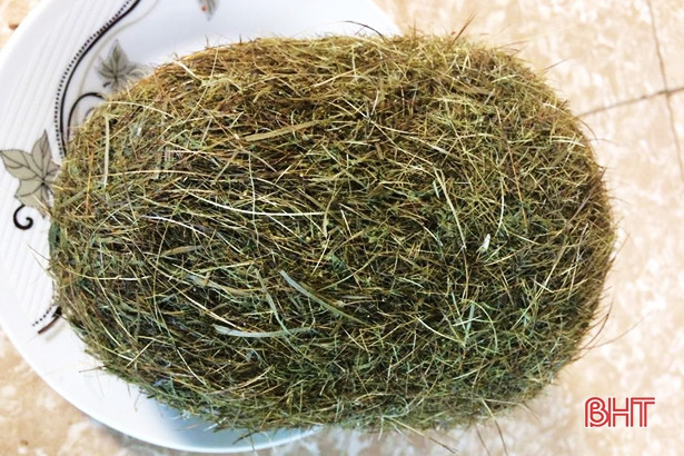 Một gia đình ở Thiên Cầm được “cát lợn” nặng 1,2kg