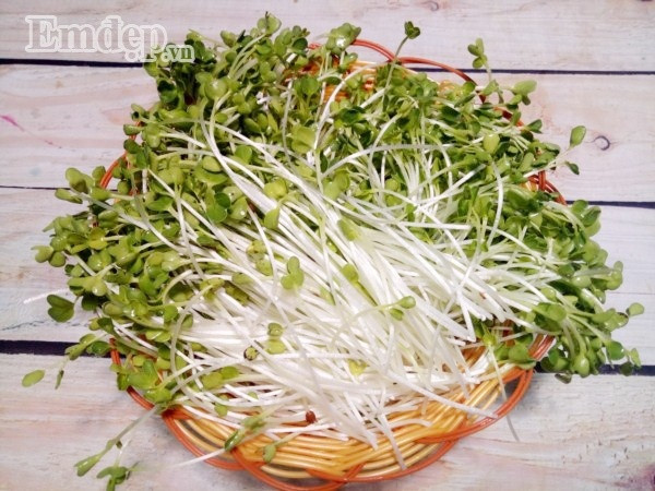 Cách làm salad rau mầm trộn thịt gà thanh mát, ngọt dịu