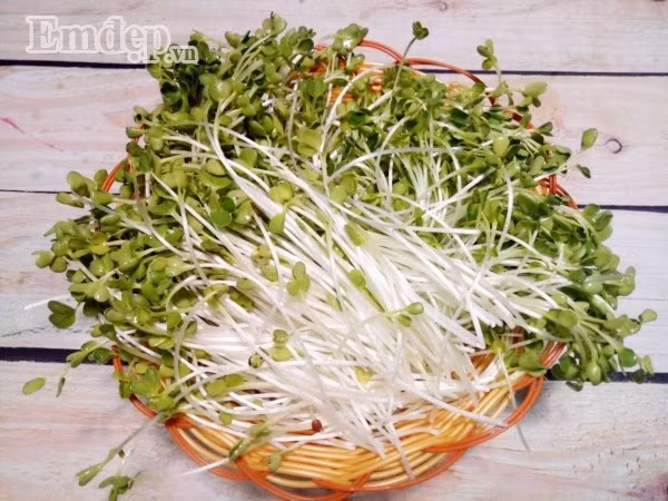 Cách làm salad rau mầm trộn thịt gà thanh mát, ngọt dịu