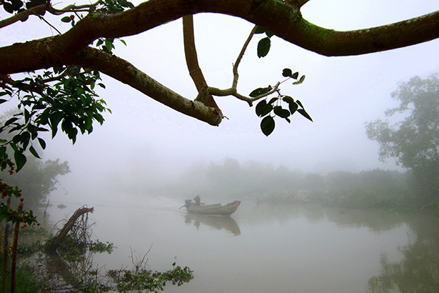 Mùa sương giăng muộn…