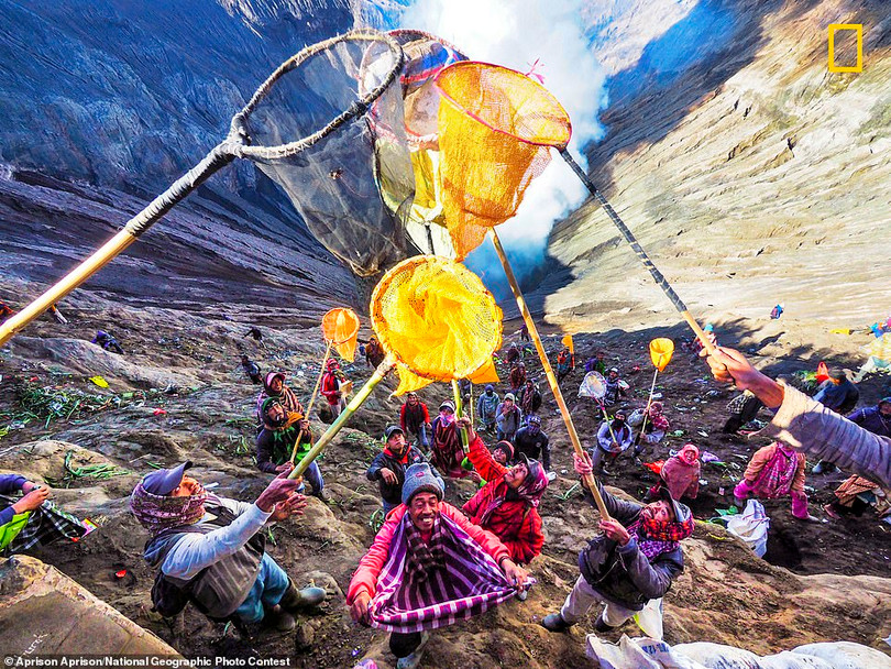 Ngất ngây ảnh đẹp dự thi National Geographic Photo Contest 2018