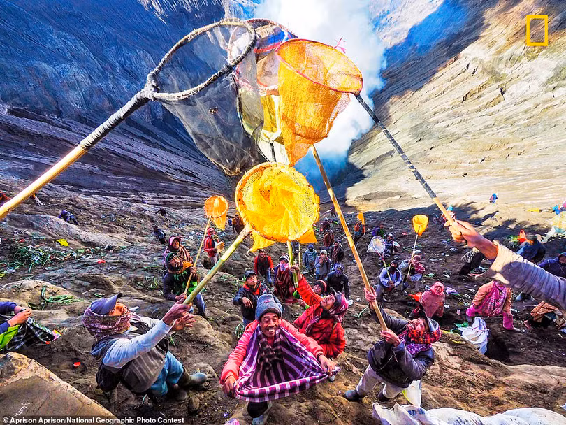 Ngất ngây ảnh đẹp dự thi National Geographic Photo Contest 2018