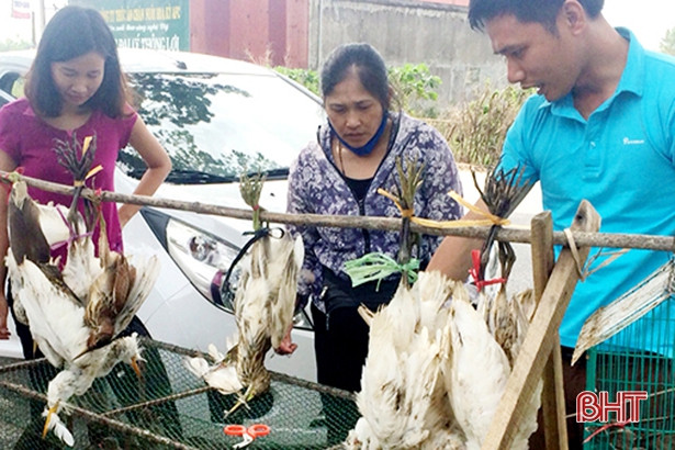 Giết voọc chà vá chân đỏ ăn thịt, 6 người cùng xã nhận án tù