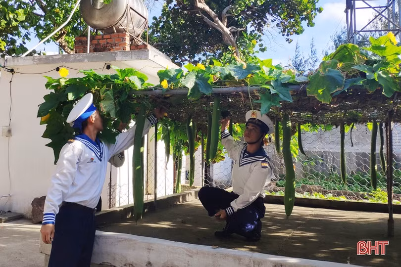 Mướt mắt những vườn rau tăng gia ở Trường Sa