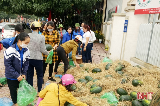 Giải cứu 2 tấn dưa gây “Quỹ Tình thương”