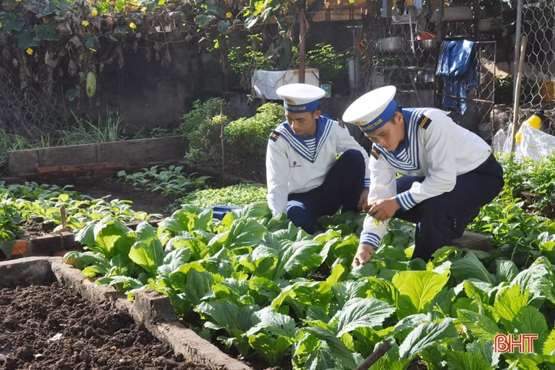 Mướt mắt những vườn rau tăng gia ở Trường Sa