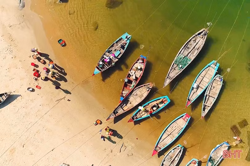 Mặn đắng nghề lặn biển thuê...