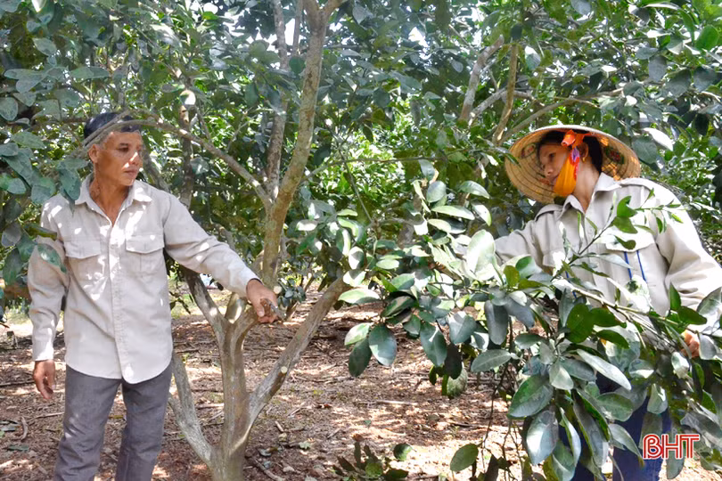 Chuyện những gia đình kiểu mẫu ở vùng quê nông thôn mới miền núi Hà Tĩnh