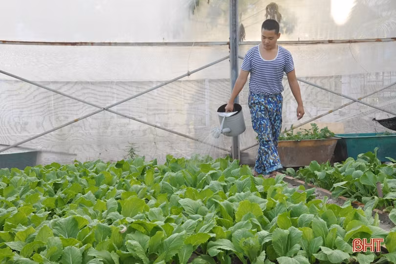 Mướt mắt những vườn rau tăng gia ở Trường Sa