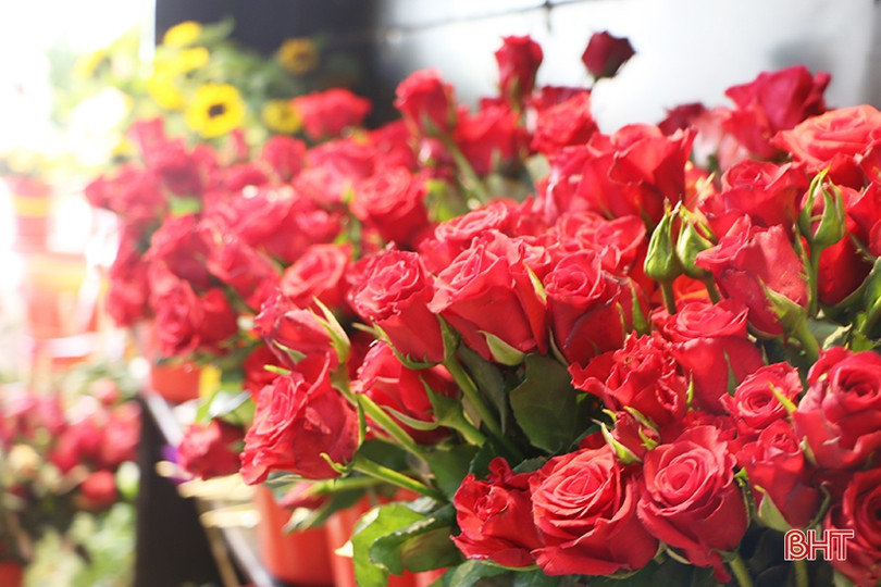 Hồng ngoại “hút khách” ngày Valentine