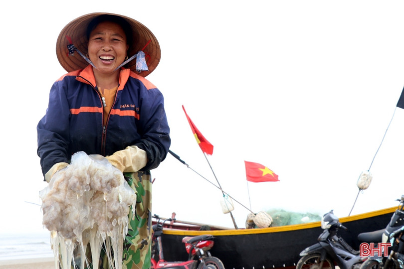 “Làng sứa lá dung” miền biển Hà Tĩnh rộn ràng vào mùa