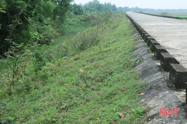 Tiếp thu vấn đề Báo Hà Tĩnh nêu, Thạch Bình tổ chức dọn rác trên đê Hữu Phủ