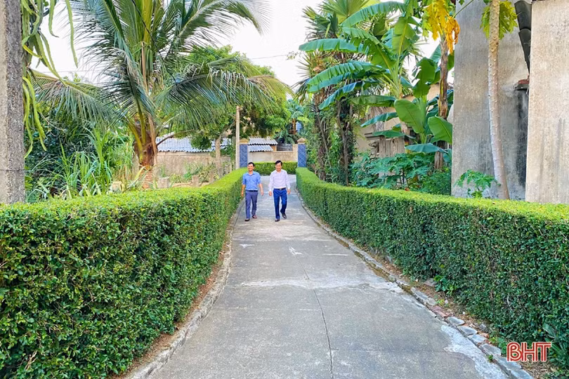 Ngắm những hàng rào xanh mướt, yên ả ở huyện miền núi Hà Tĩnh