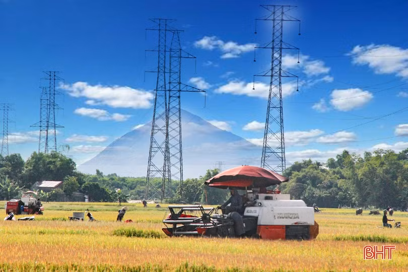 Xứ Voi đón “niềm vui kép”!