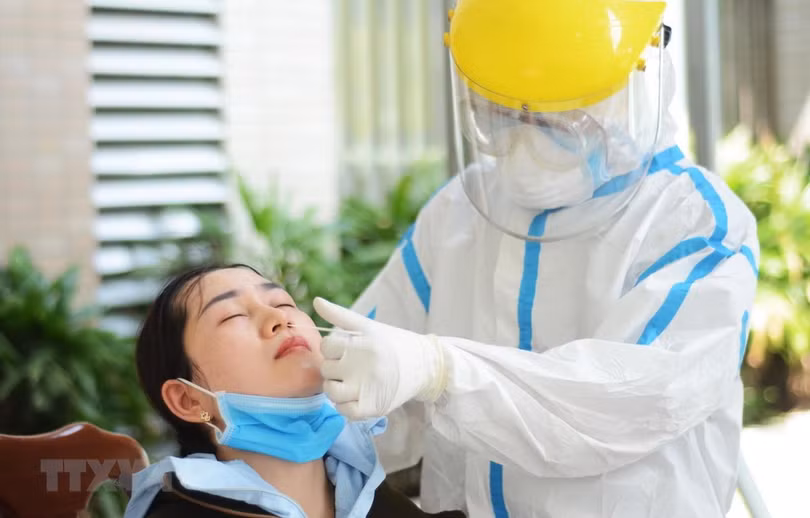 Đà Nẵng triển khai xét nghiệm SARS-CoV-2 diện rộng theo hộ gia đình
