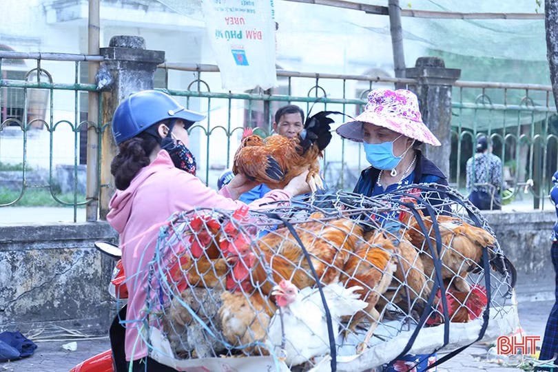 Vì sao sức tiêu thụ các mặt hàng phục vụ ngày Rằm tháng 7 ở Hà Tĩnh giảm mạnh?!