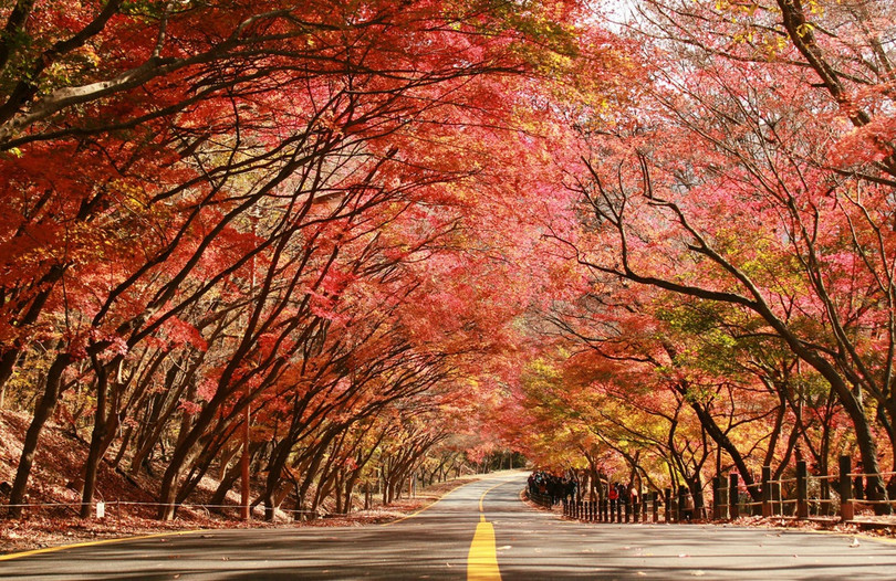 Bản hòa tấu sắc thu khắp thế giới