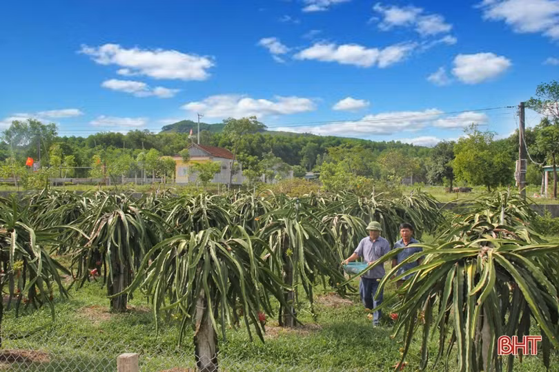 Xứ Voi đón “niềm vui kép”!