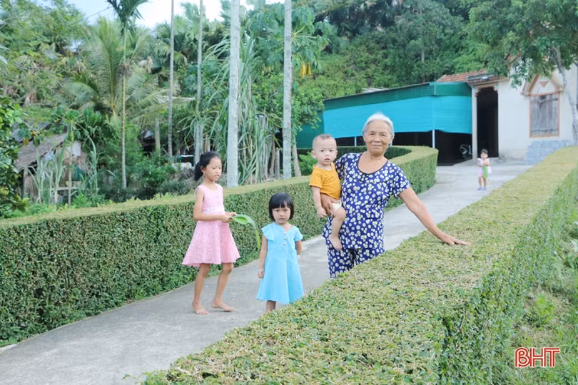 Ngắm những hàng rào xanh mướt, yên ả ở huyện miền núi Hà Tĩnh