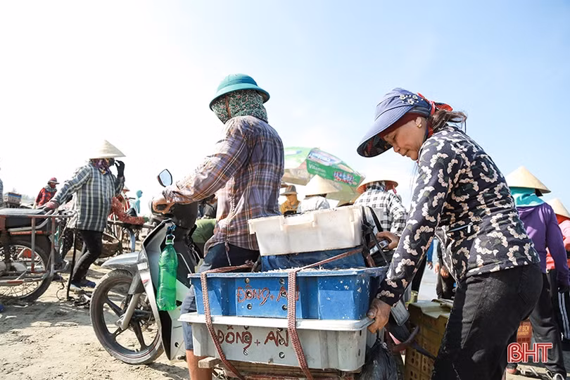 Gặp đúng luồng cá mờm cơm, ngư dân Lộc Hà thu “tiền tươi” tại bãi