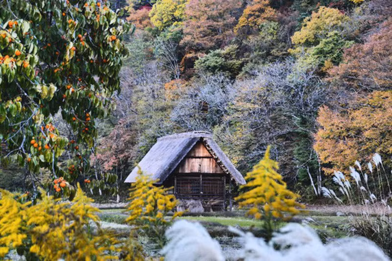 Cảnh đẹp mê hồn tại ngôi làng bộ truyện tranh Doraemon ra đời