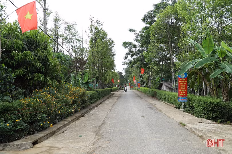 Cần điều chỉnh chính sách hỗ trợ xi măng làm đường giao thông ở Hà Tĩnh