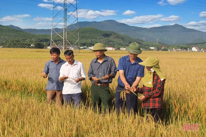 Xứ Voi đón “niềm vui kép”!