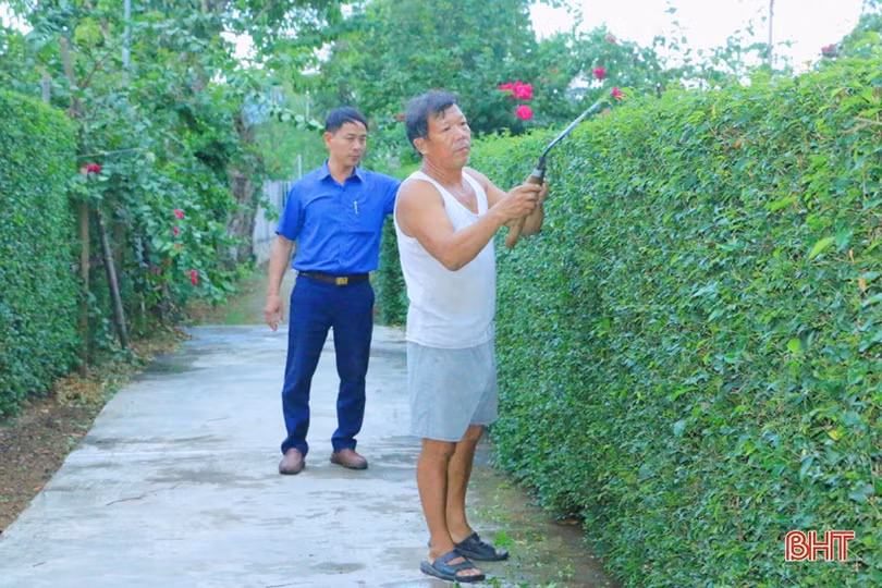 Ngắm những hàng rào xanh mướt, yên ả ở huyện miền núi Hà Tĩnh