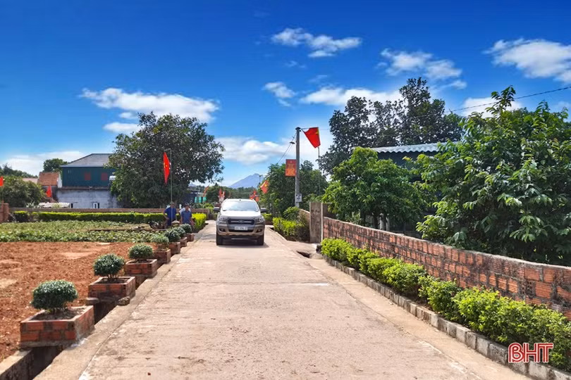 Xứ Voi đón “niềm vui kép”!